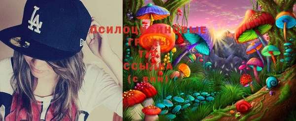 круглые Богородицк